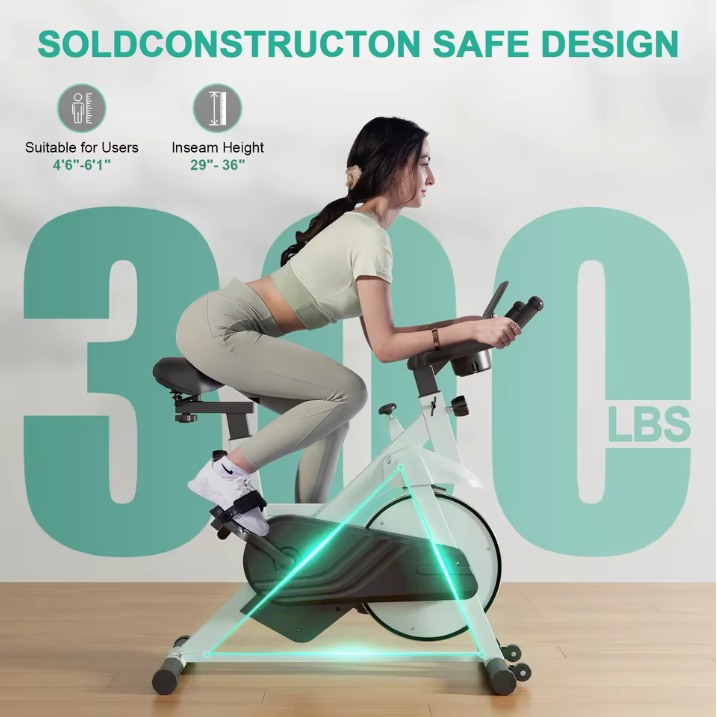 HomeKit Superun PRO: Smart Magnetic Resistance Exercise Bike